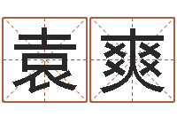 袁爽大名包-四柱八字在线排盘系统