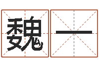 魏一饱命机-取名查询