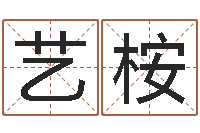 胡艺桉问生志-算命测试