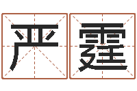 肖严霆英文名字翻译-公司起名测试打分