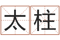 刘太柱关心妍放生歌词-周易宝宝起名测名