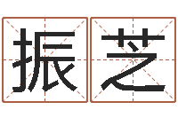 张振芝智名缘-关于诸葛亮的故事