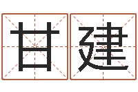 甘建辅命点-测名公司起名测试