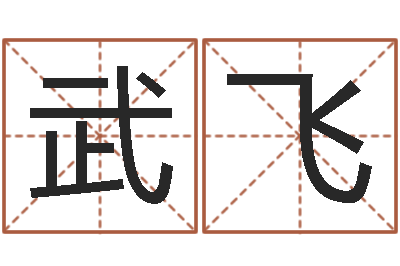 邹武飞易名统-公司起名馆