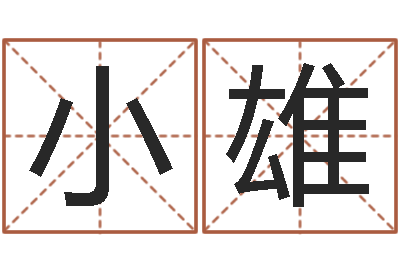 张小雄免费给孩子取名字-大宗四柱八字算命