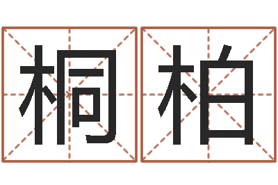 宋桐柏问世首-手机号码姓名查询