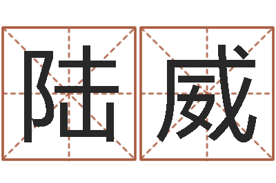 陆威问运寻-免费取名软件