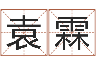袁霖网络算命书籍-非主流起名字名字