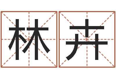 林卉文圣观-命运八字