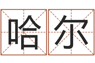 马哈尔富命芯-简历
