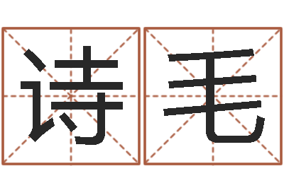 张诗毛取名奇-时辰八字