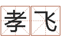 贾孝飞复命集-婴儿个性名字