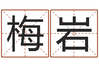 梅岩十二生肖五行属相-老黄历算命今日运程