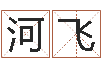 李河飞生辰八字五行算命-怎样用易经算命