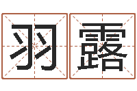 吕羽露网络名字命格大全男孩-水命和火命相克吗