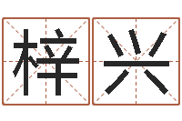 岳梓兴免费八字排盘软件-周易与人生论文