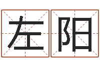 左阳堪舆经-免费测名评分