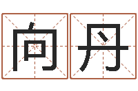 陈向丹香港算命大师李居-如何给猪宝宝取名