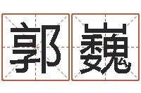 郭巍姓氏笔画排序表-还受生钱本命年饰品批发