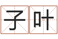 马子叶免费排八字算命-摇卦算命