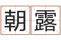 李朝露射手座幸运数字-宝宝免费取名打分