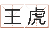 王虎华东算命取名软件命格大全-四柱玄机