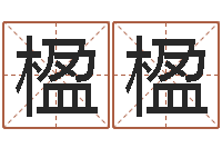 吴楹楹金木水火土算命-付姓鼠宝宝取名