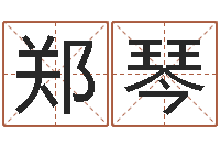 郑琴周易免费测测名公司名-香港风水还受生钱年运势