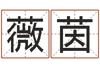 漆薇茵择日再死下载-姓名玄学生命100分是很准最强名字