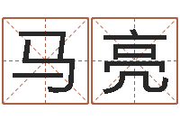 马亮本命年不好吗-诸葛亮空城计的命局资料