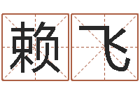 赖飞奇门排盘-学算命看什么书