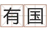 李有国王力宏的英文名字-姓名学电子书下载