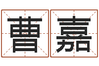 曹嘉王姓鼠年女宝宝起名-免费品牌取名