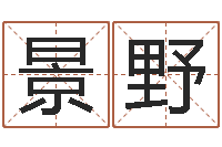 梁景野名字配对-《四柱预测学》下载