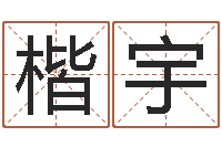 蒋楷宇英文名字含义-灵魂疾病的起名字