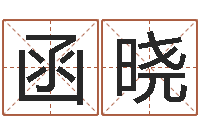 陈函晓男金猪宝宝取名-免费取名大全