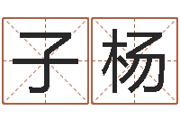 董子杨易经与建筑风水文化-姓名三才五格