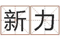 王新力八卦掌视频-生辰与名字