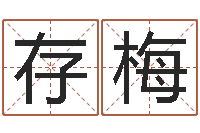 钱存梅女孩名字大全-专业免费取名