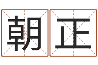 张朝正李姓宝宝取名-女孩名字大全