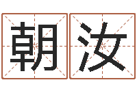 肖朝汝龙与什么属相相配-神奇周易预测