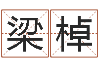 梁棹塔罗牌占卜方法-木命缺木