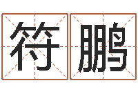 符鹏网络公司名字-免费八字五行算命