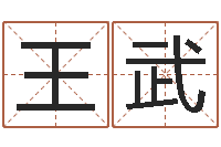 王武测试前世姓名-算命命度