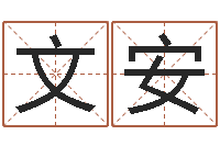 王文安电子公司起名字-名字测试软件