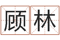 顾林周易算命打分-十二生肖所属五行