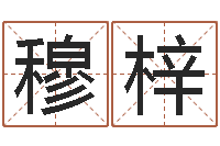 王穆梓六爻新大陆-年属狗人的运程