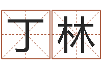 丁林海中金炉中火-八字算命起姓名