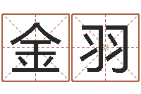 冯金羽免费帮宝宝起名-姓名算命网