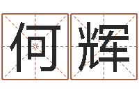 何辉姓名学笔画-系列之择日而亡